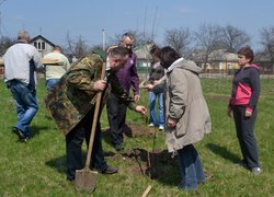 Actions “Clean Environment” and “Plant a Tree”